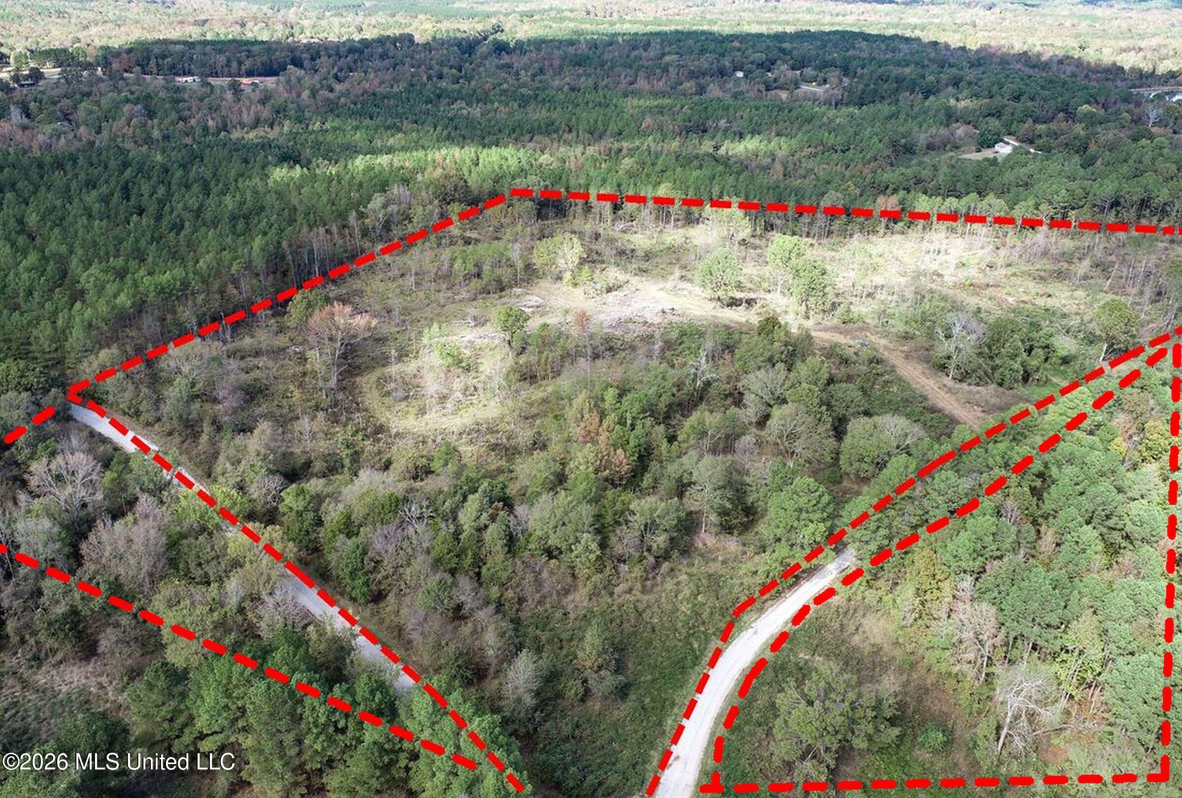 154 County Road Tillatoba, MS 38961 - Photo 11 of 58 4kgrdn51bccc