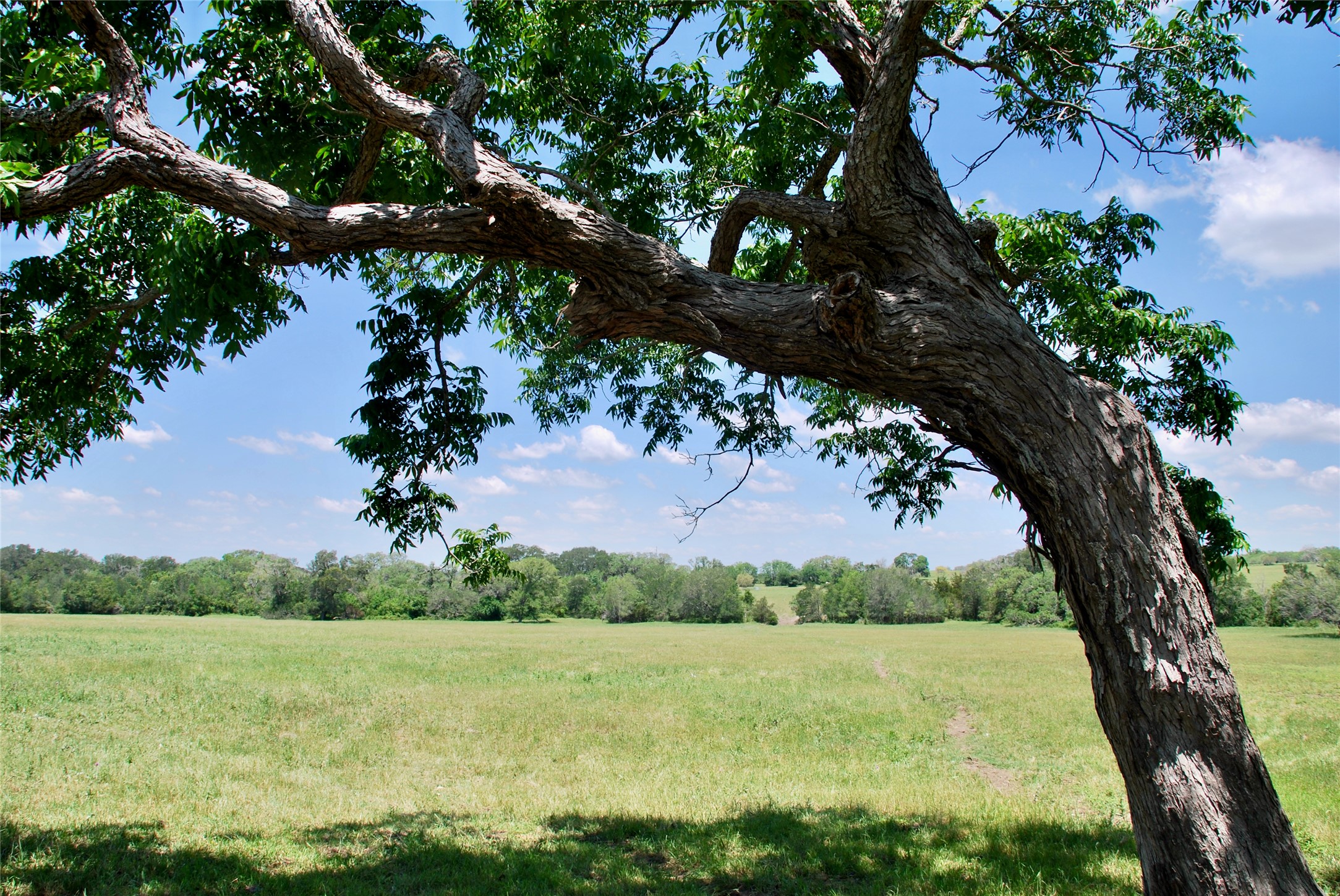 1070 Muehr Road Weimar, TX 78962 - Photo 4 of 40