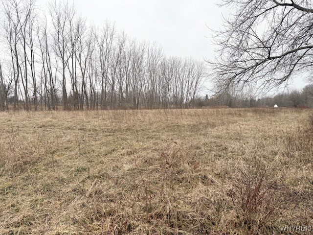 Ridge Road West Albion, NY 14411 - Photo 4 of 6