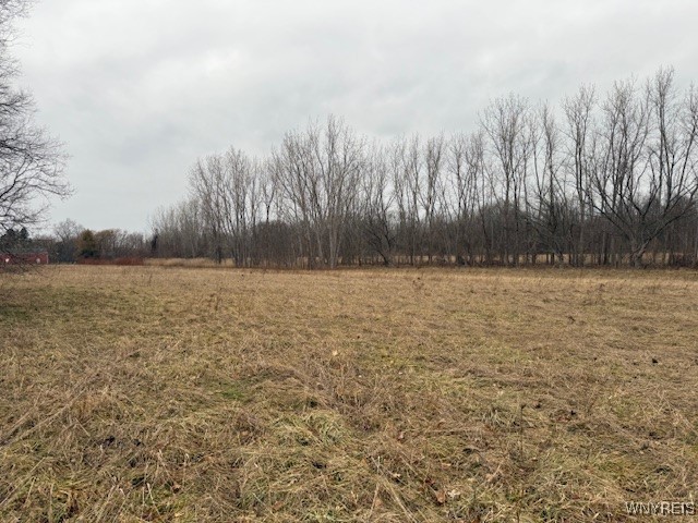 Ridge Road West Albion, NY 14411 - Photo 5 of 6