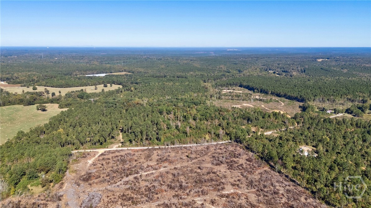 1 Bridges Road Carlton, GA 30627 - Photo 27 of 33