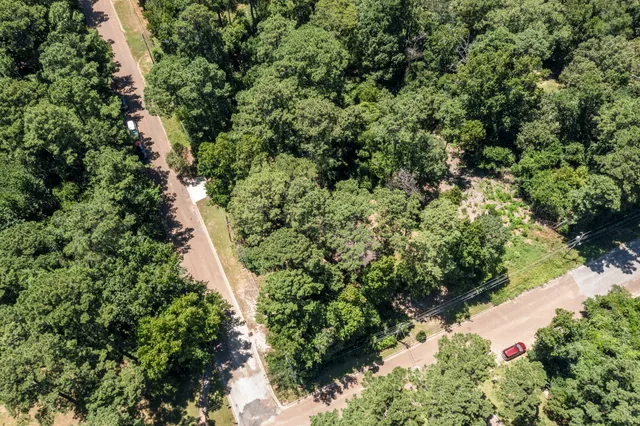 a view of a garden with a tree