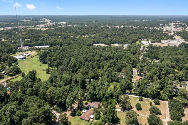 a view of city and mountain