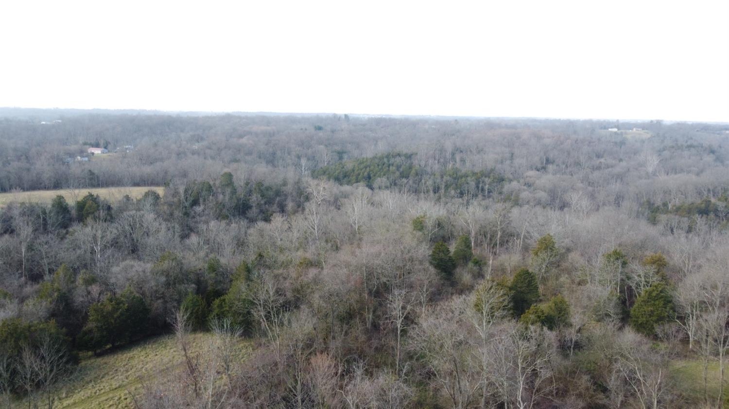 0 Gurley Road Patriot, IN 47038 - Photo 9 of 10 Gallery Image 9