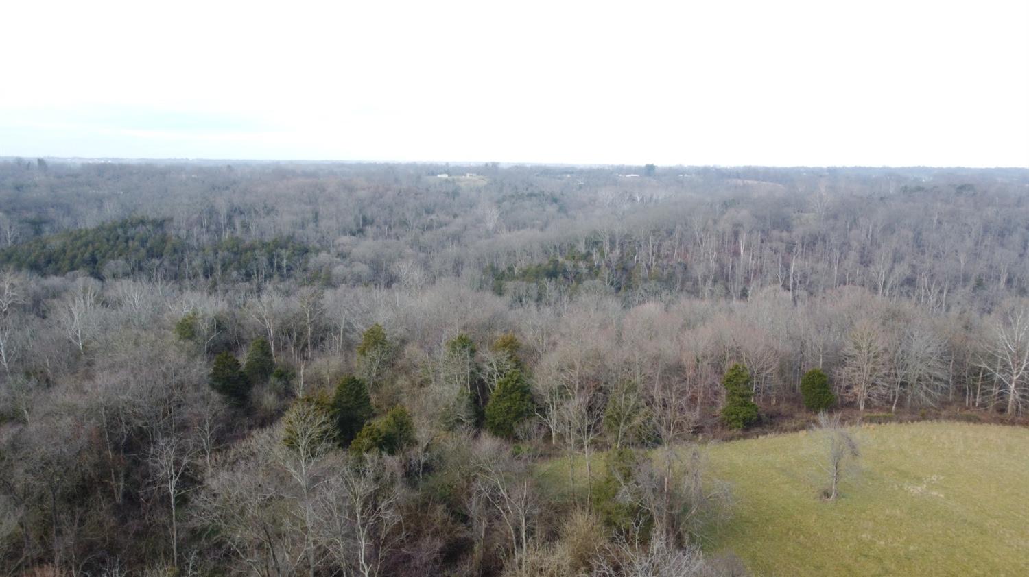 0 Gurley Road Patriot, IN 47038 - Photo 10 of 10 Gallery Image 10