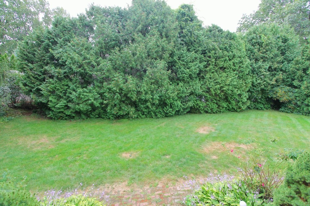 56 Glezen Street Worcester, MA 01604 - Photo 24 of 25 Gallery Image 24