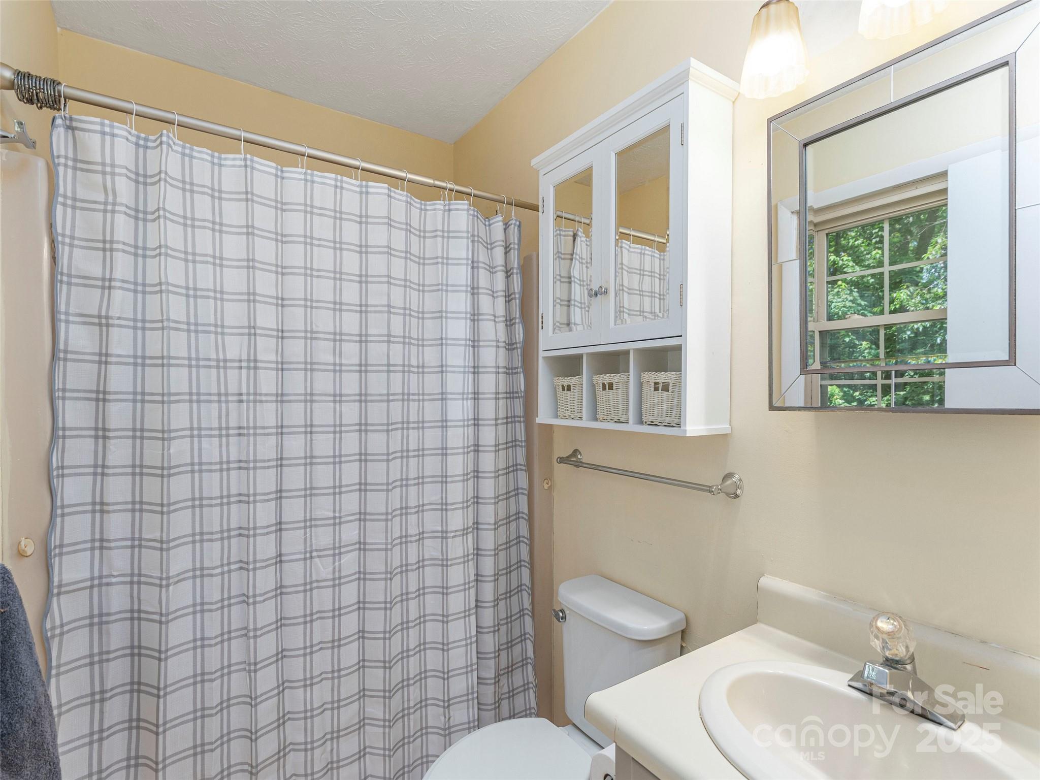 623 Nellie John Drive Clyde, NC 28721 - Photo 13 of 25 a bathroom with a sink a toilet and shower curtain