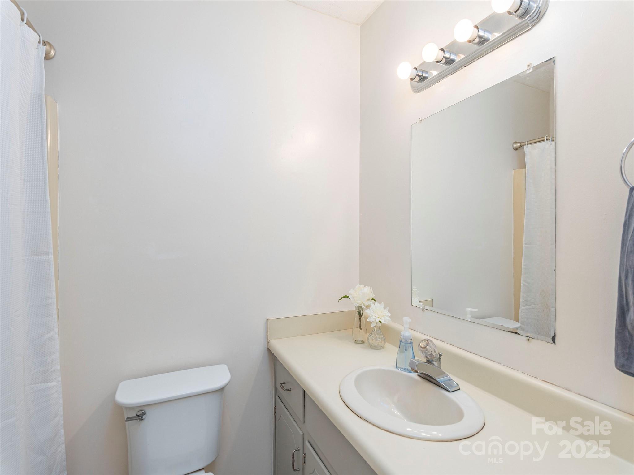 623 Nellie John Drive Clyde, NC 28721 - Photo 15 of 25 a bathroom with a sink toilet and a mirror