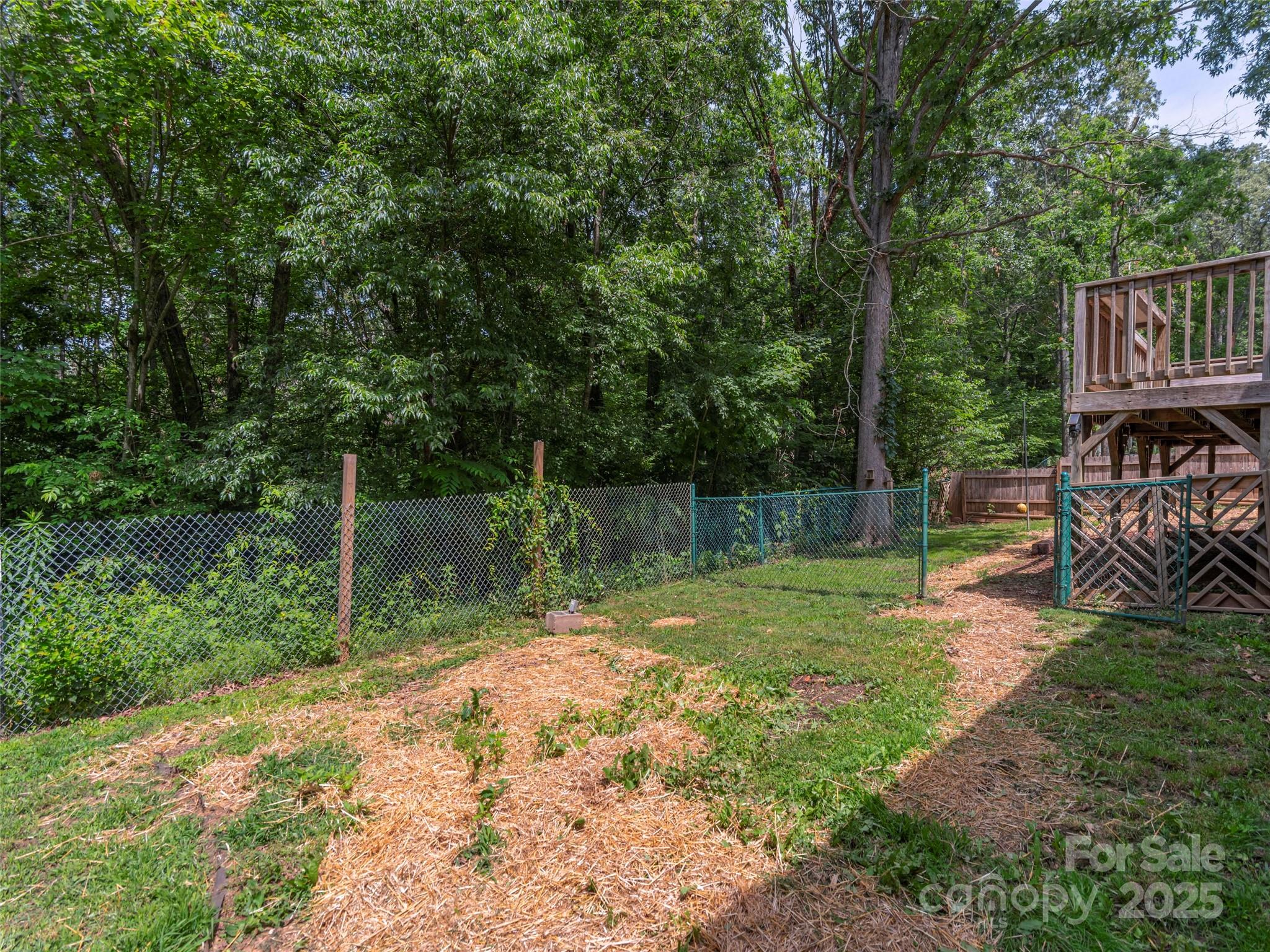623 Nellie John Drive Clyde, NC 28721 - Photo 21 of 25 a view of backyard with green space