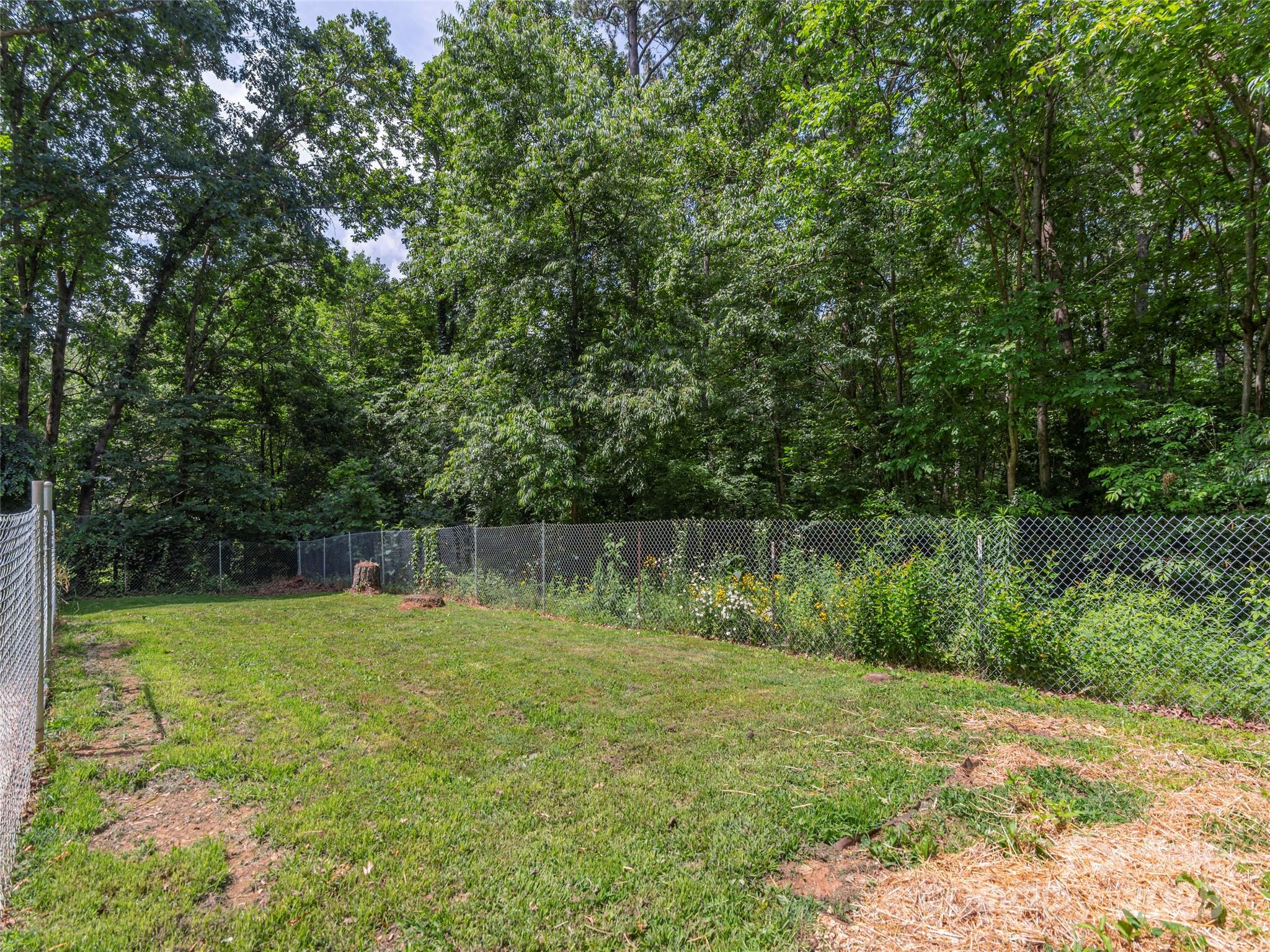 623 Nellie John Drive Clyde, NC 28721 - Photo 22 of 25 a backyard of a house with lots of green space