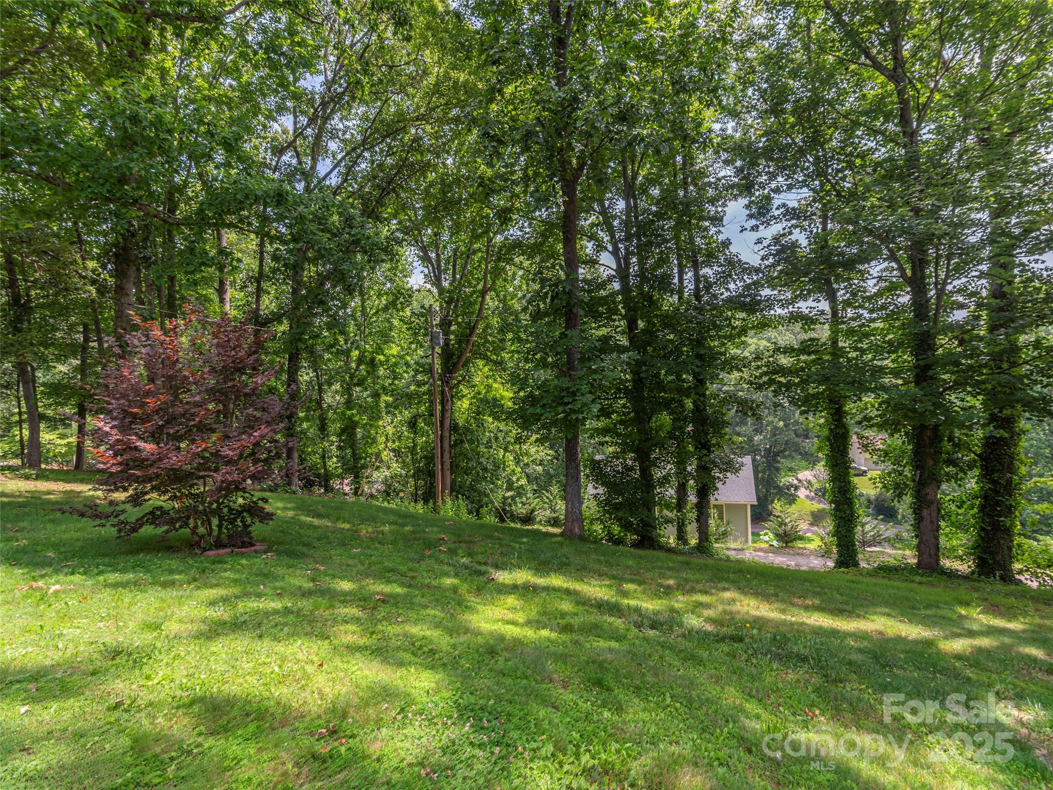 623 Nellie John Drive Clyde, NC 28721 - Photo 24 of 25 a view of a trees with a yard