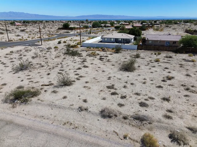 a view of a dry yard with trees