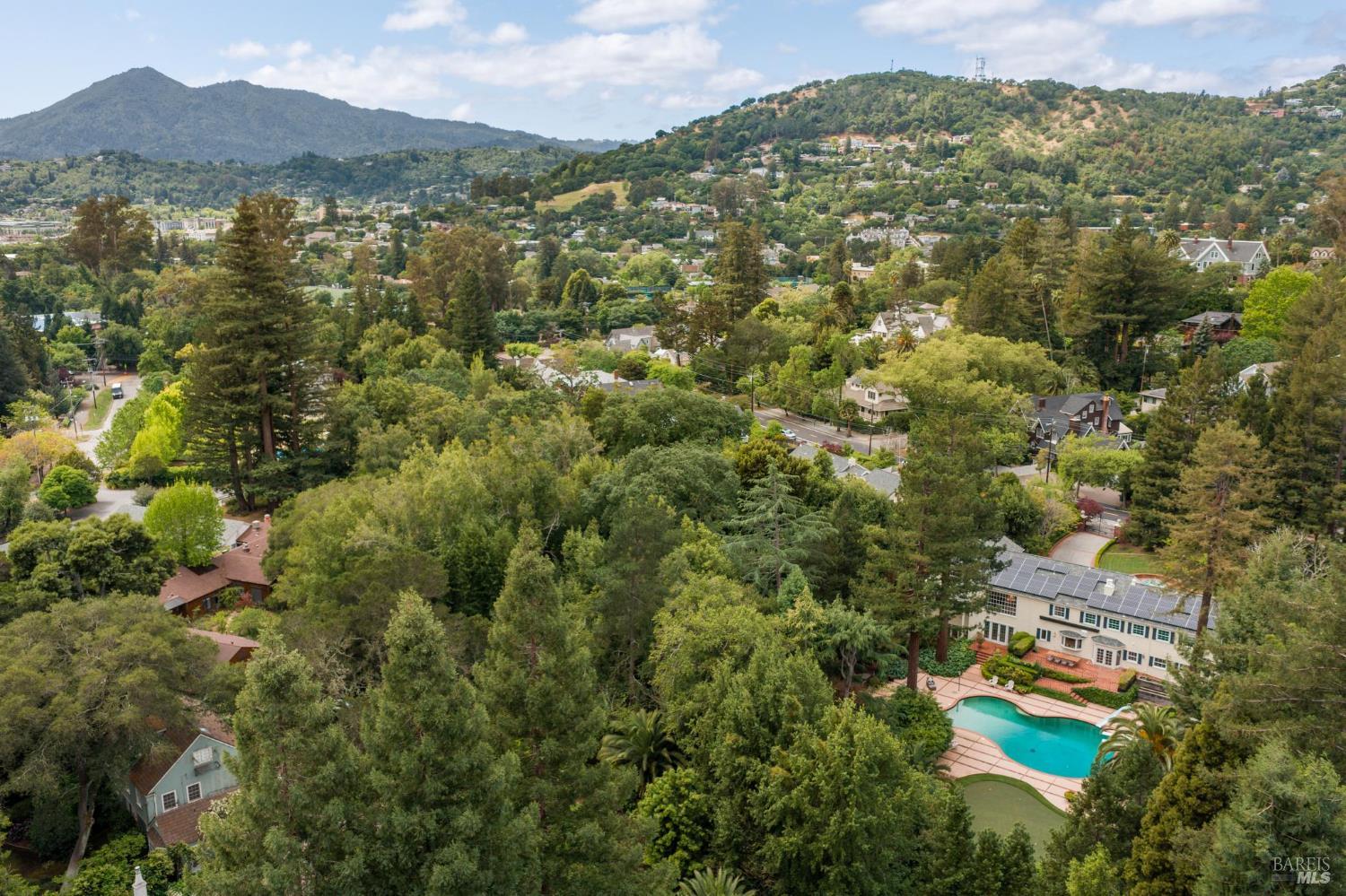 110 Mountain View Avenue San Rafael, CA 94901 - Photo 54 of 83