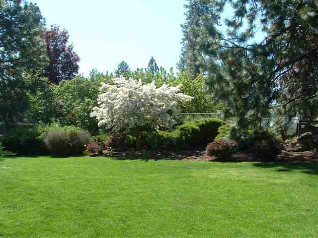 2222 South Conklin Road Veradale, WA 99037 - Photo 8 of 9