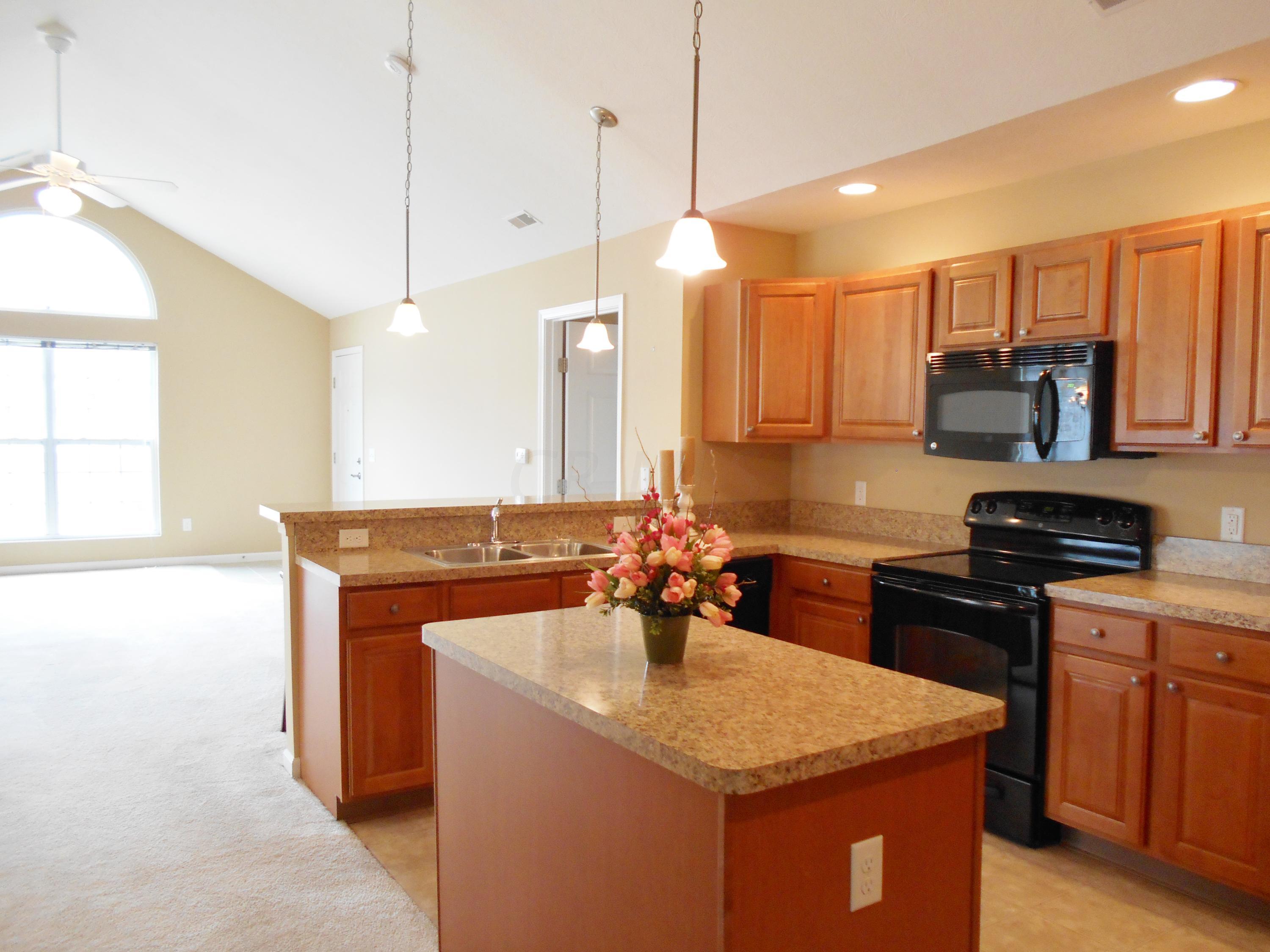 5690 Silver Frost Road Westerville, OH 43081 - Photo 8 of 22