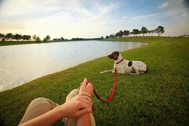 $1,000,000 | 16918 Himley Drive, Cypress, TX 77433