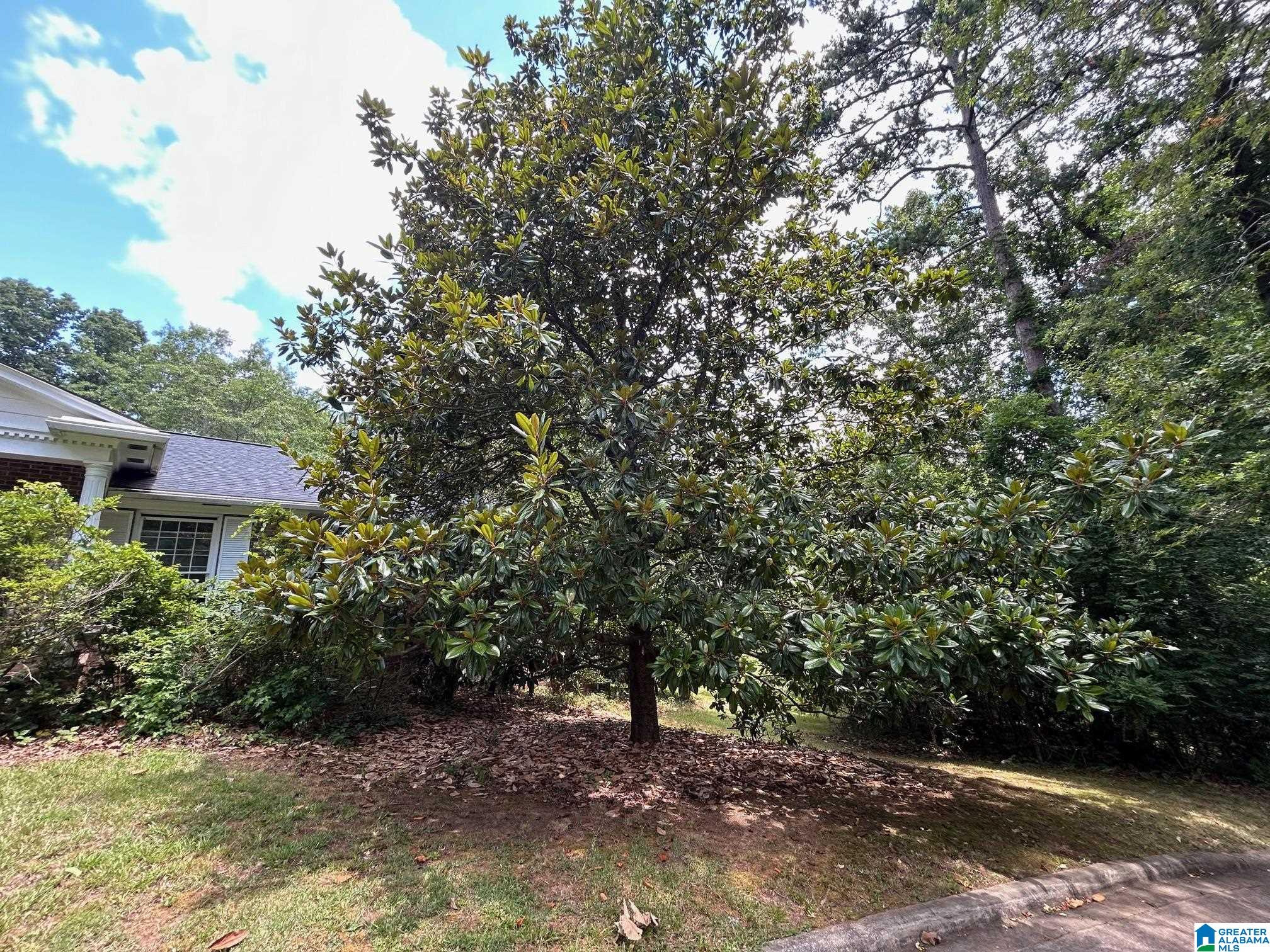 410 Rocky Ridge Road Northeast Jacksonville, AL 36265 - Photo 20 of 41