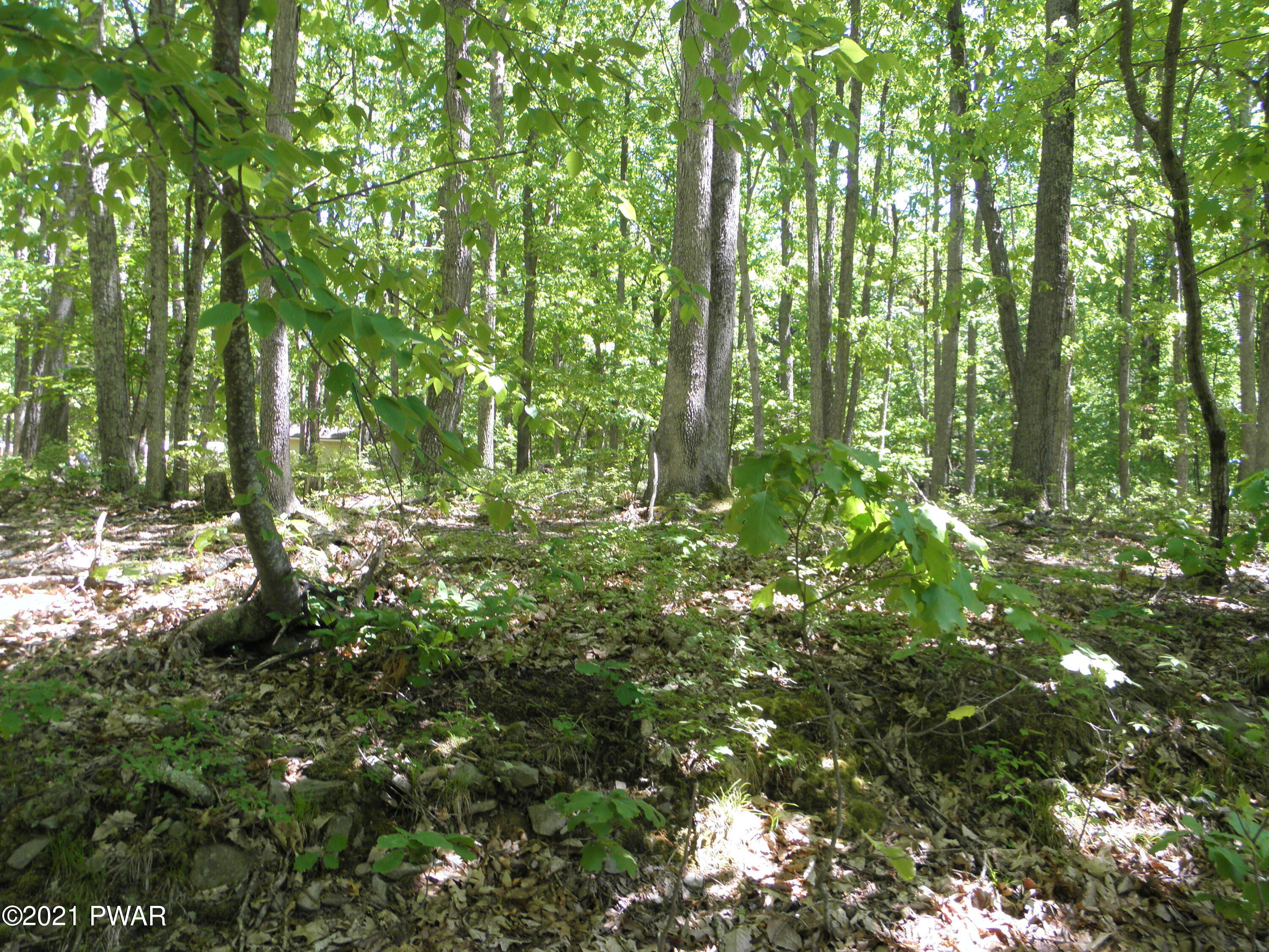 3 Rd Road Lake Road Hawley, PA 18428 - Photo 2 of 4