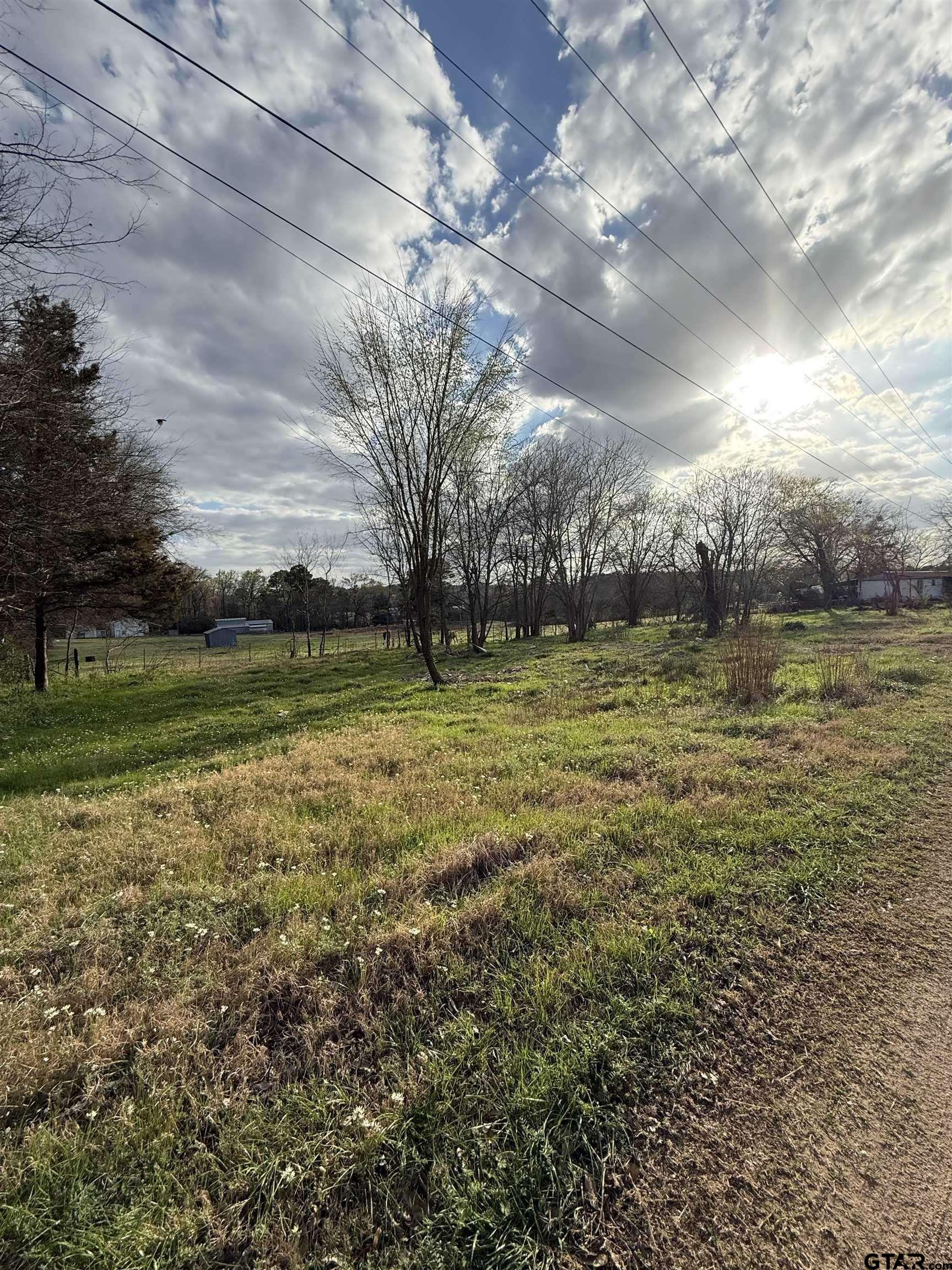 504 West Tarbutton Street Troup, TX 75789 - Photo 3 of 6