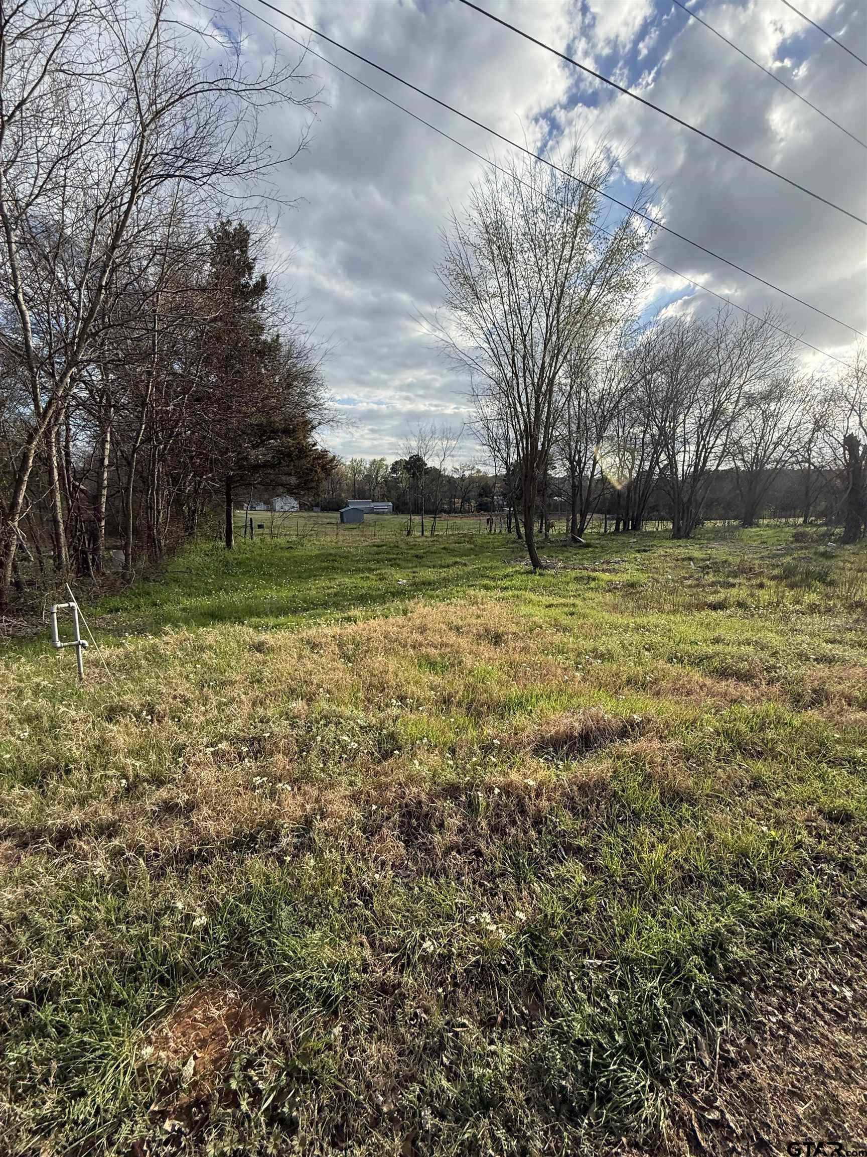 504 West Tarbutton Street Troup, TX 75789 - Photo 4 of 6