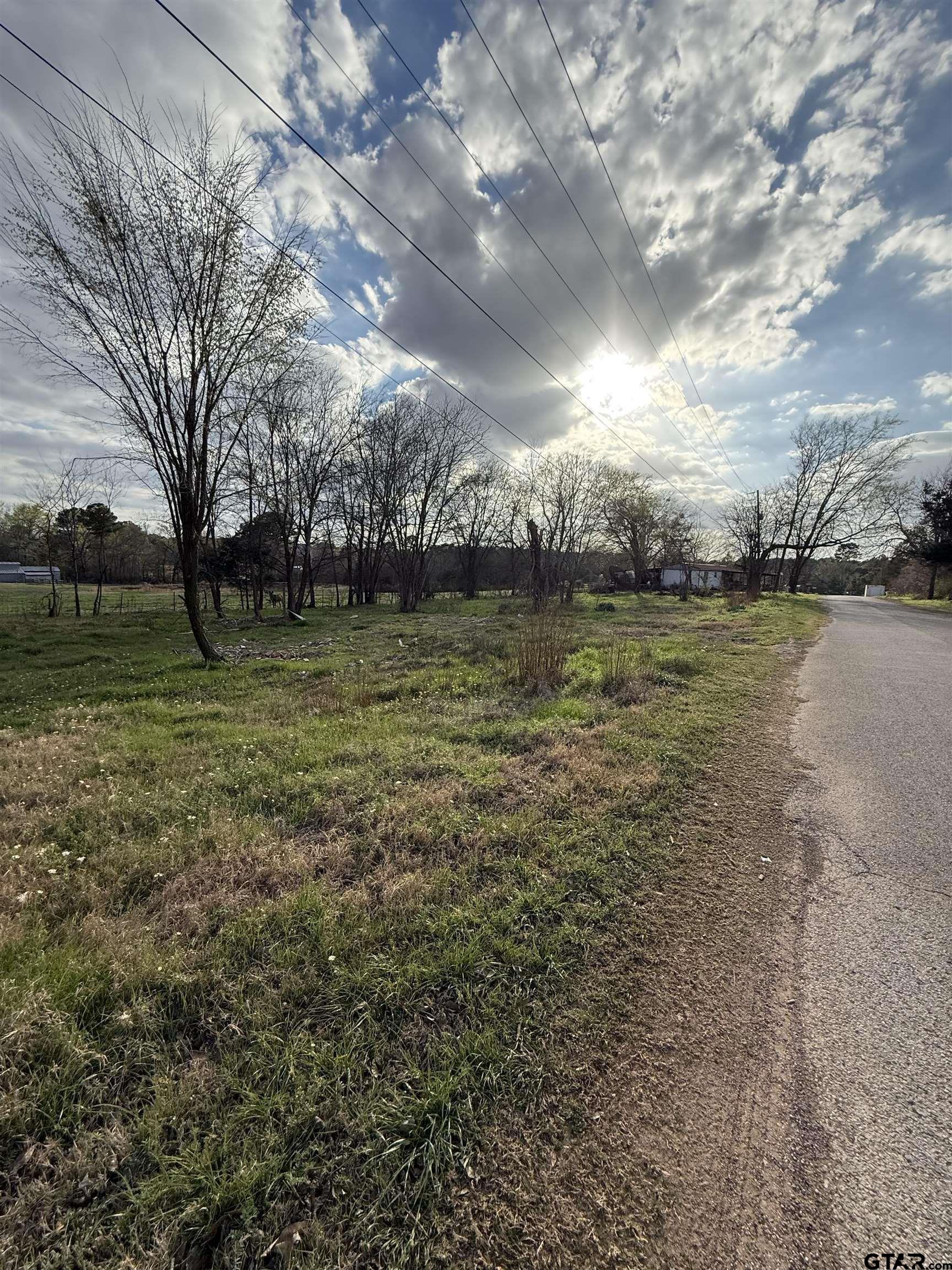 504 West Tarbutton Street Troup, TX 75789 - Photo 5 of 6