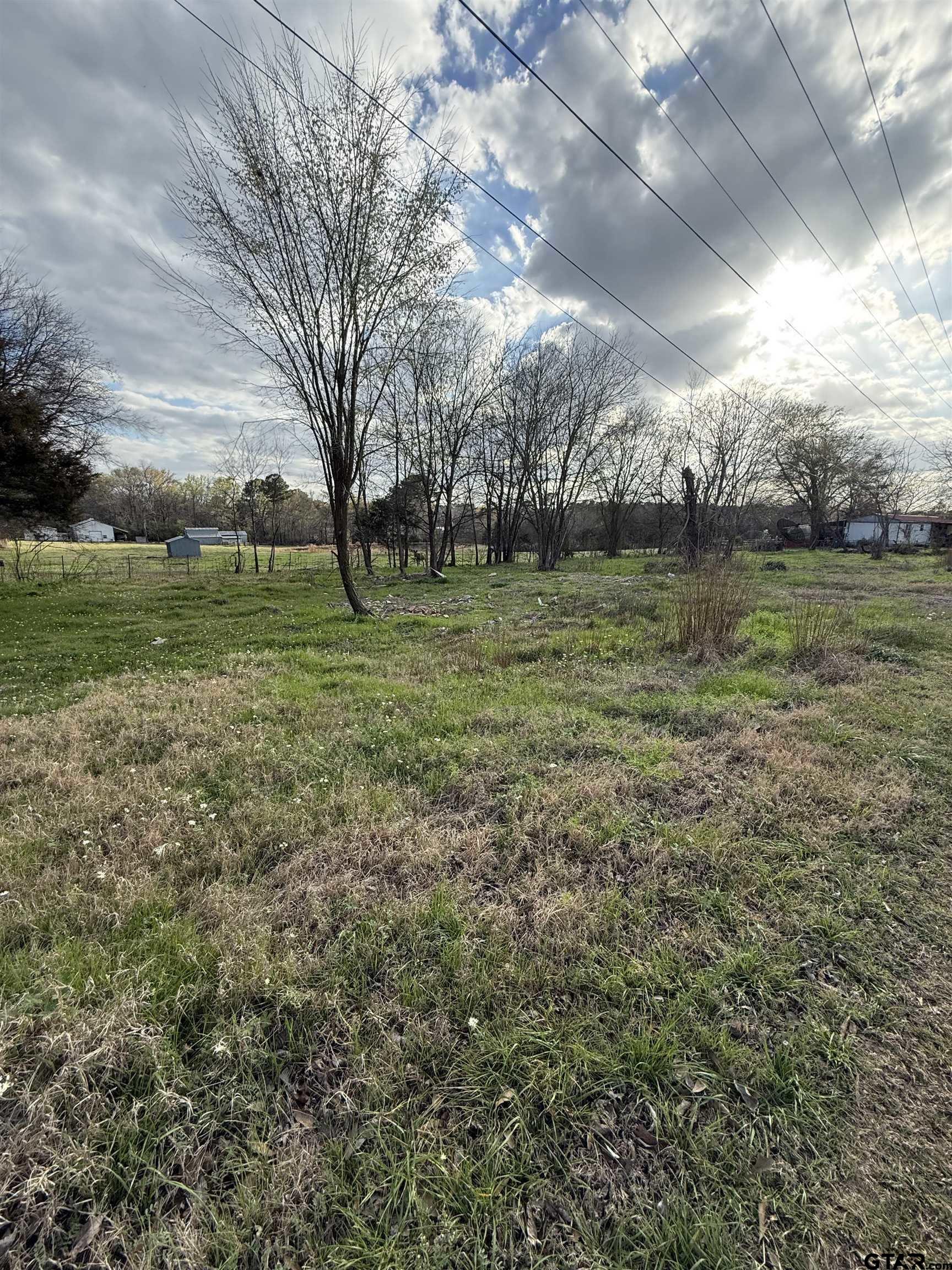 504 West Tarbutton Street Troup, TX 75789 - Photo 6 of 6