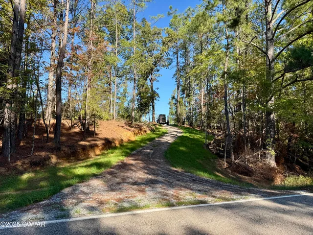a view of yard with tree
