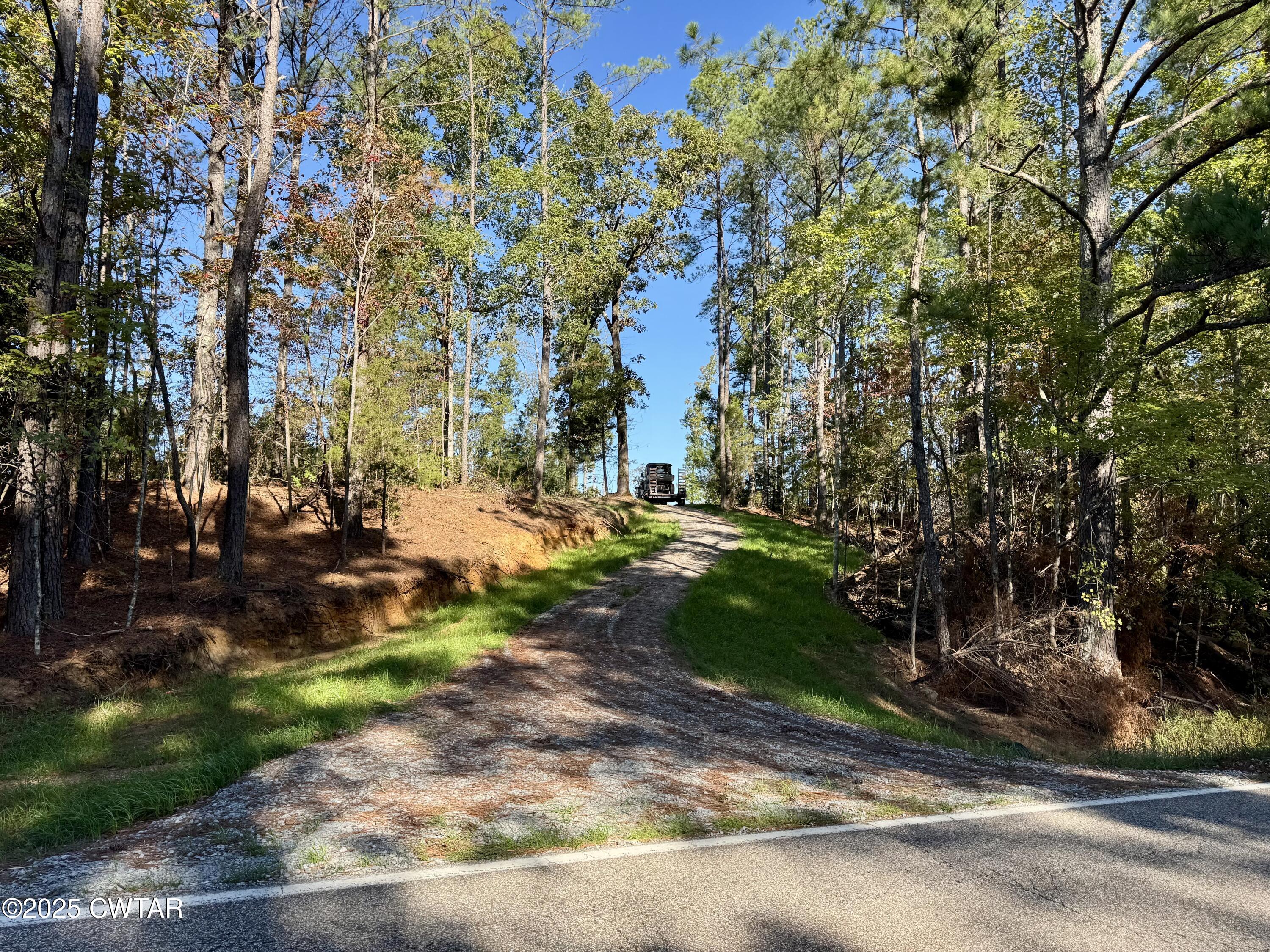 a view of yard with tree