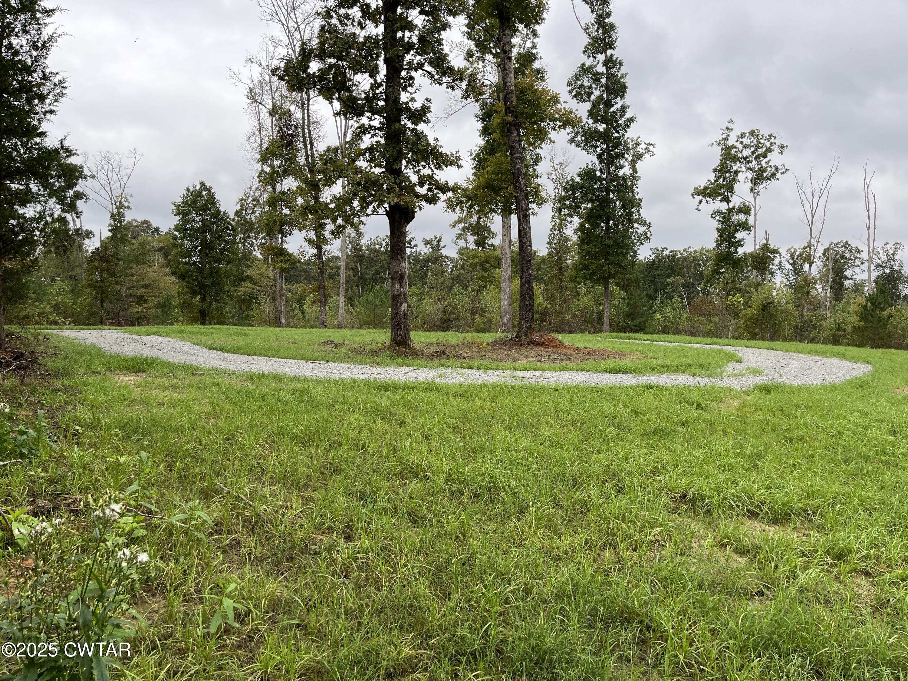 0 Brooksie Thompson Road Bath Springs, TN 38311 - Photo 2 of 6 a view of outdoor space with deck and trees
