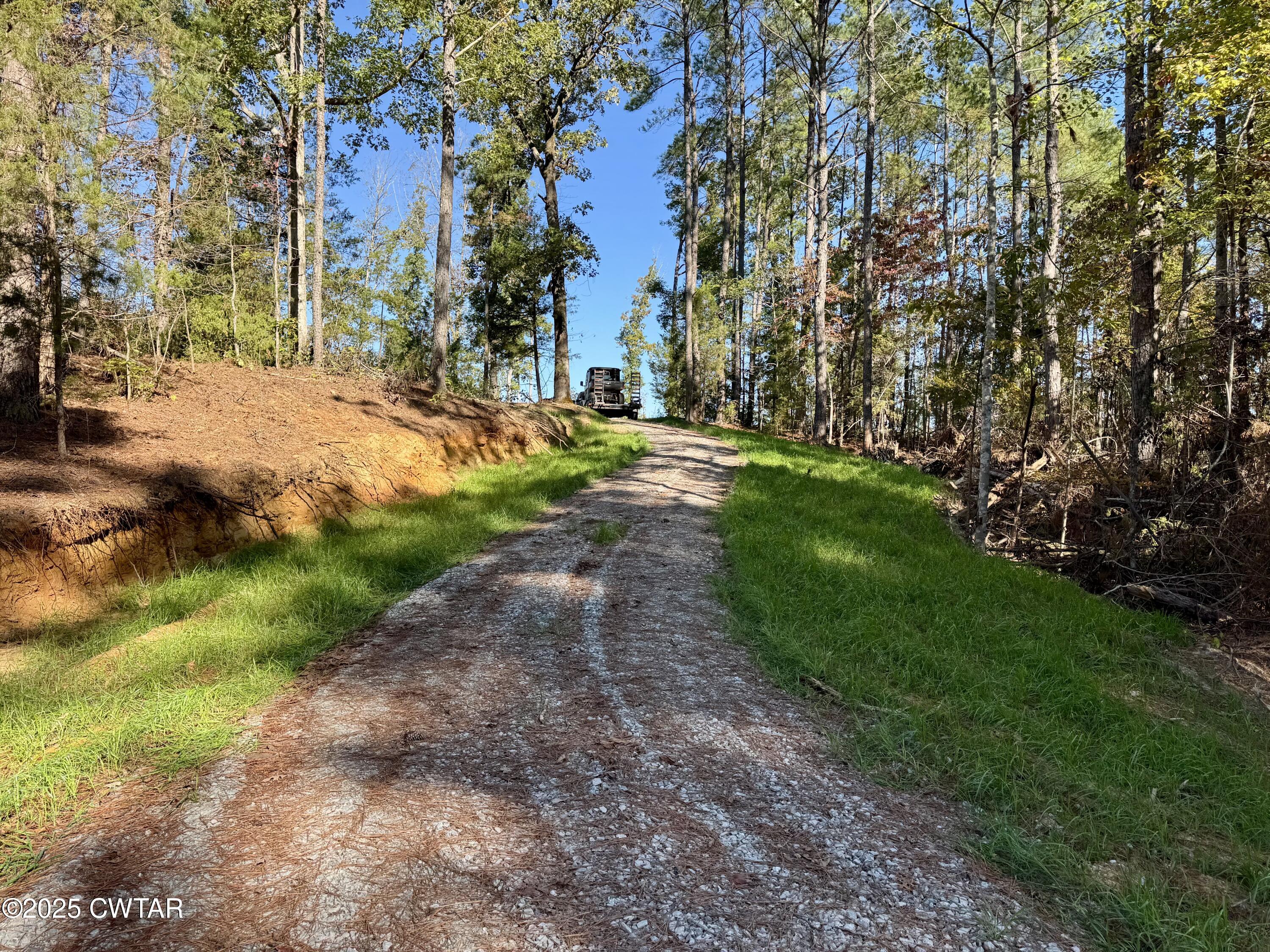 0 Brooksie Thompson Road Bath Springs, TN 38311 - Photo 3 of 6 a view of backyard with green space