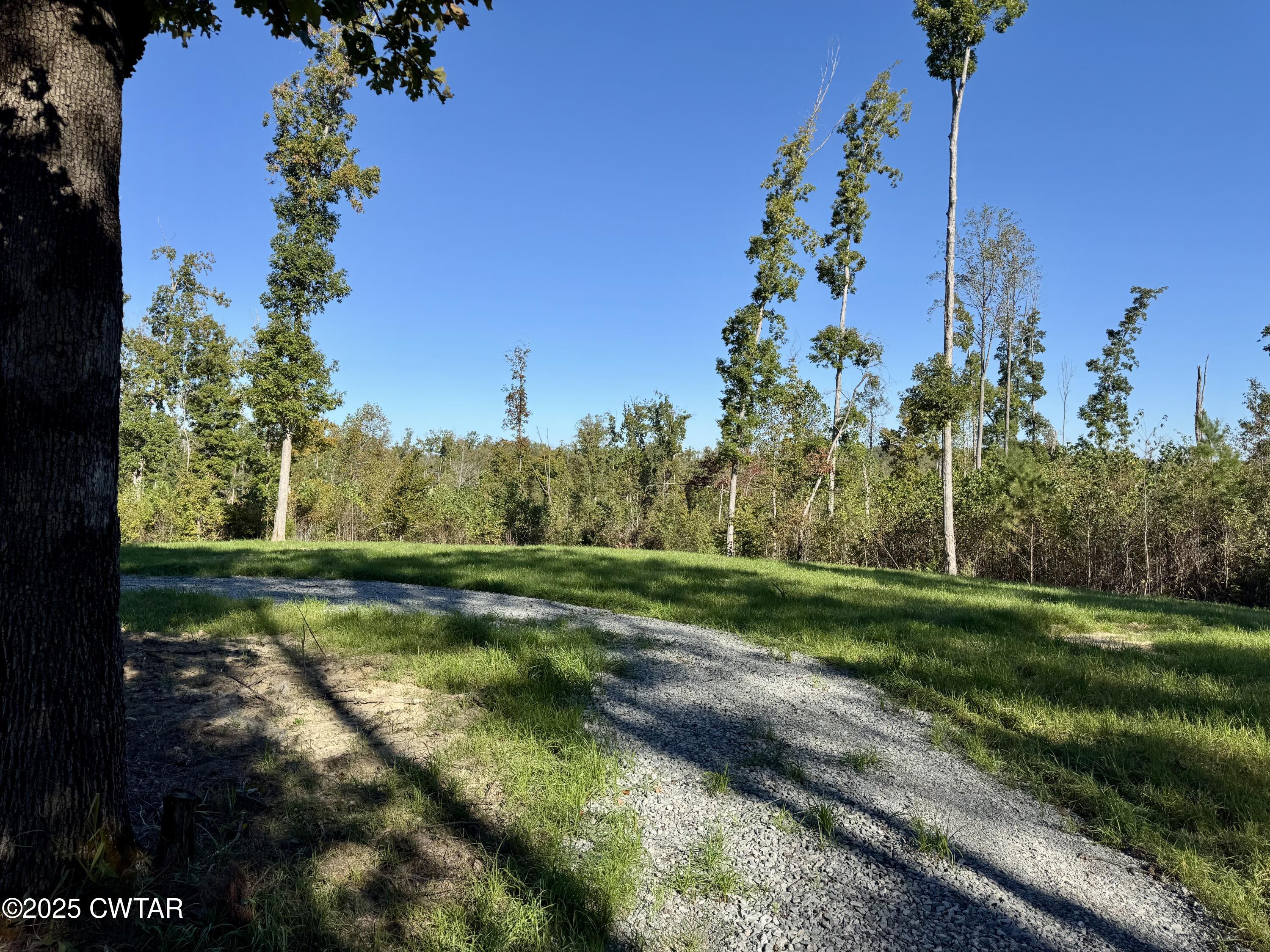0 Brooksie Thompson Road Bath Springs, TN 38311 - Photo 4 of 6 a view of a park
