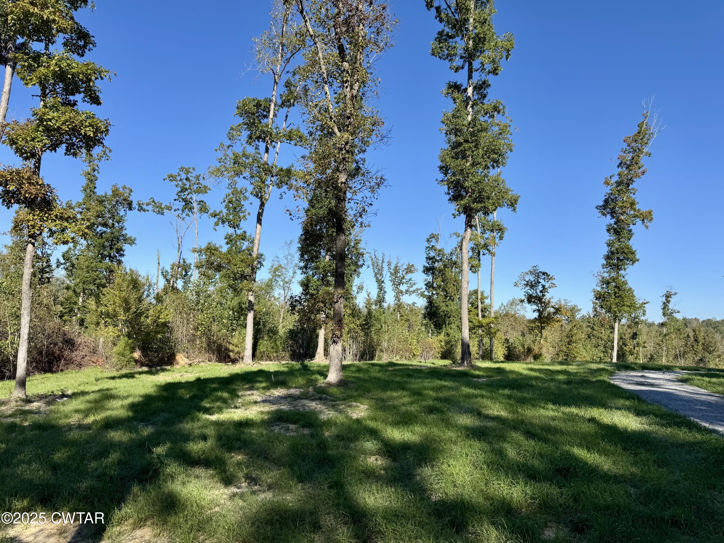 0 Brooksie Thompson Road Bath Springs, TN 38311 - Photo 5 of 6 a view of grassy field with trees