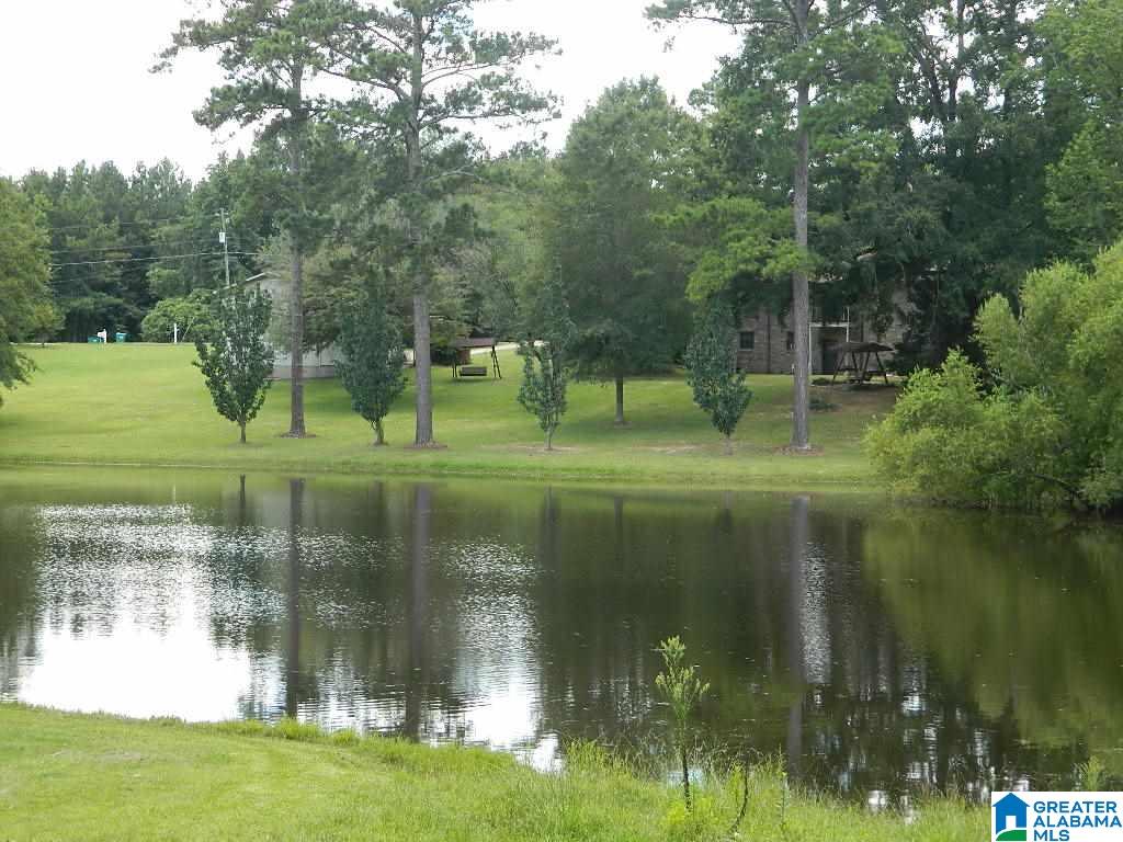 585 Mountainview Lake Road Sylacauga, AL 35150 - Photo 23 of 24