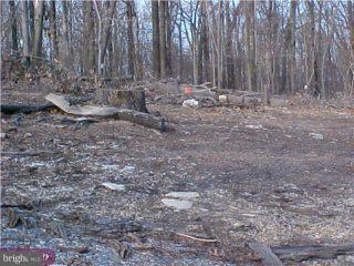 1751 Ramich Road Temple, PA 19560 - Photo 3 of 4