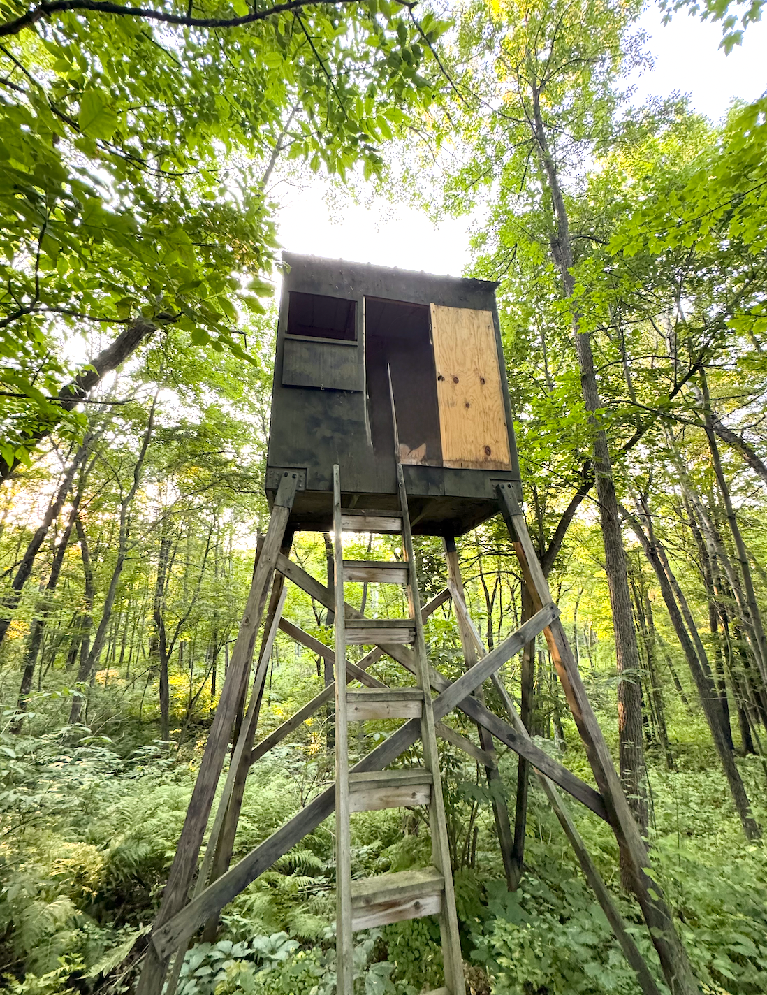 10531 Chippewa Beach Road Northwest Cass Lake, MN 56633 - Photo 16 of 20