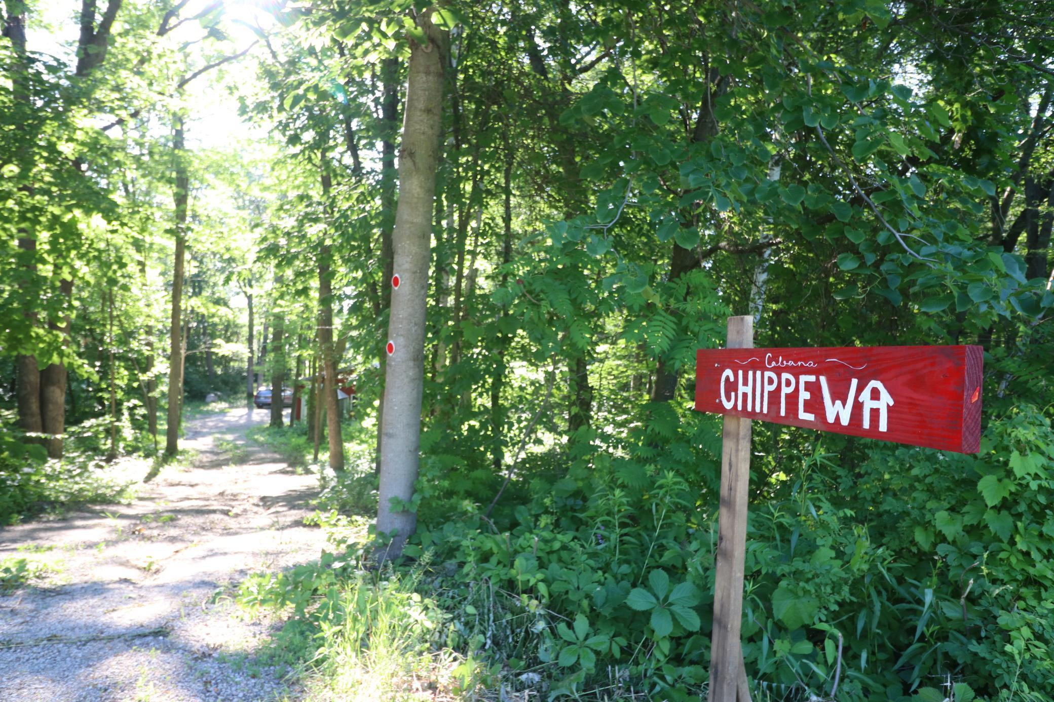 10531 Chippewa Beach Road Northwest Cass Lake, MN 56633 - Photo 8 of 20