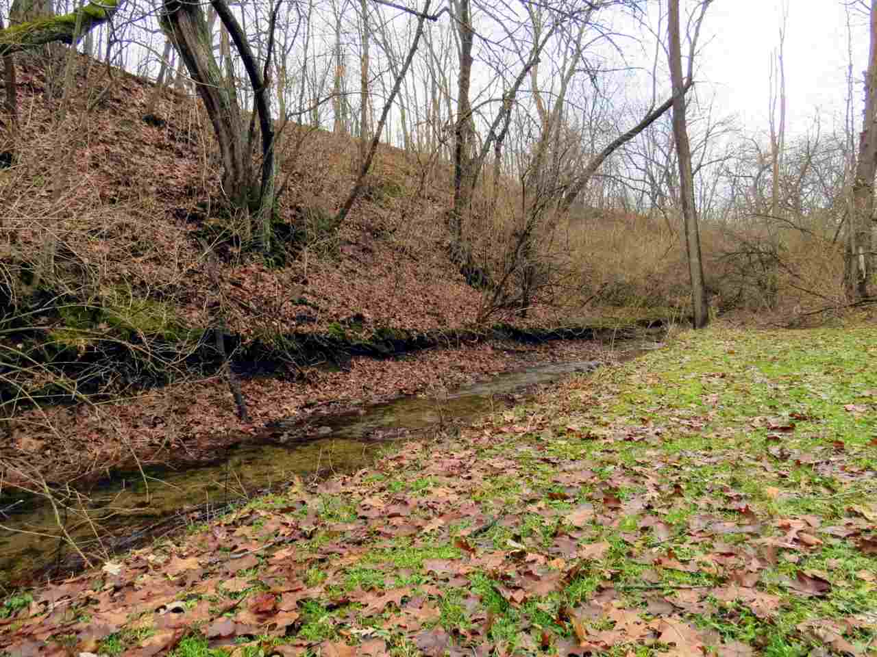 12444 Quail Ridge Close Rockton, IL 61072 - Photo 22 of 24 a view of a yard with a tree