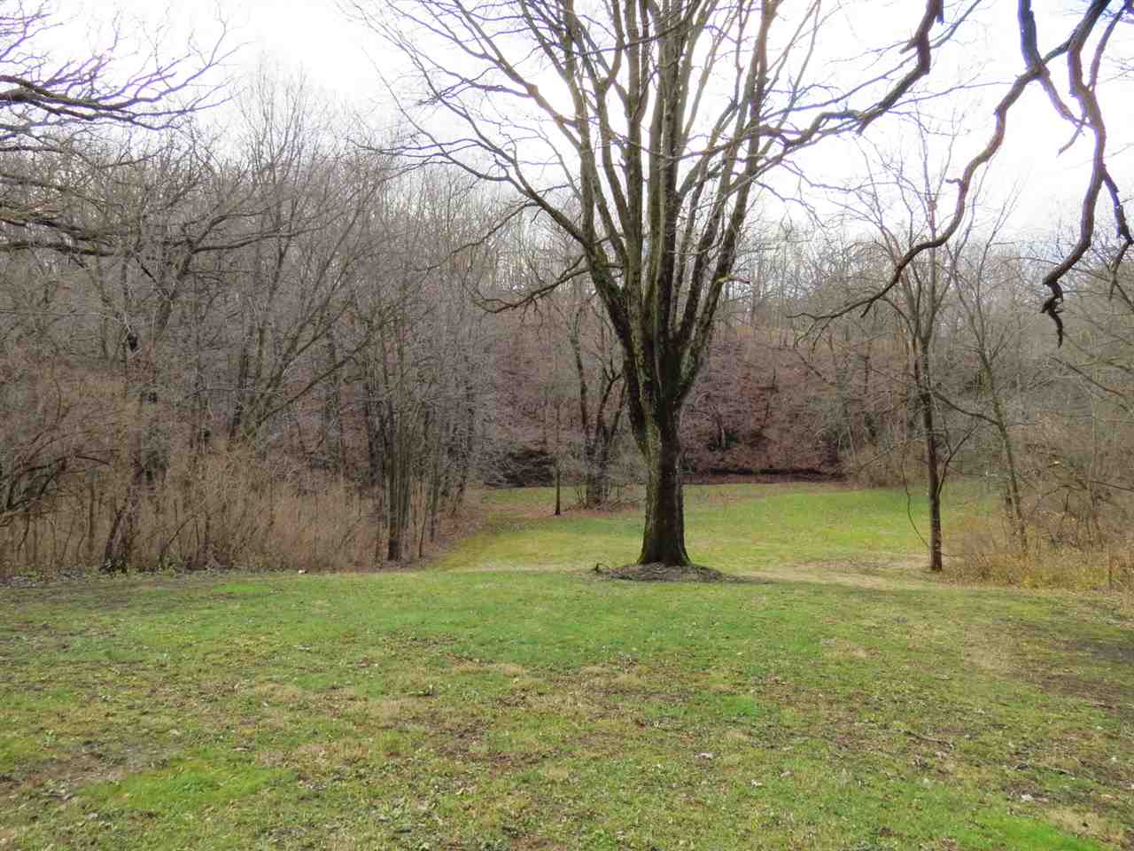 12444 Quail Ridge Close Rockton, IL 61072 - Photo 23 of 24 a view of garden with trees