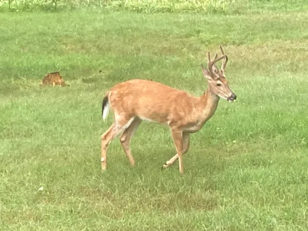 $274,900 | 8949 Stadium Drive, Kalamazoo, MI 49009