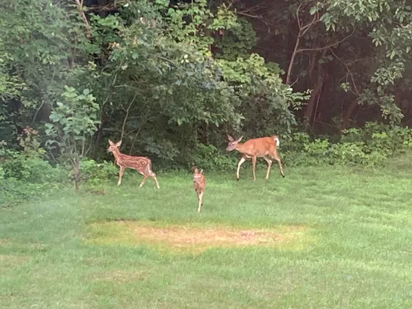 $274,900 | 8949 Stadium Drive, Kalamazoo, MI 49009