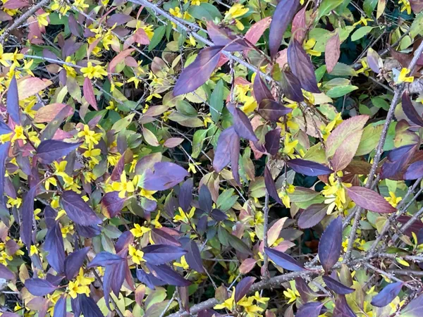 $274,900 | 8949 Stadium Drive, Kalamazoo, MI 49009