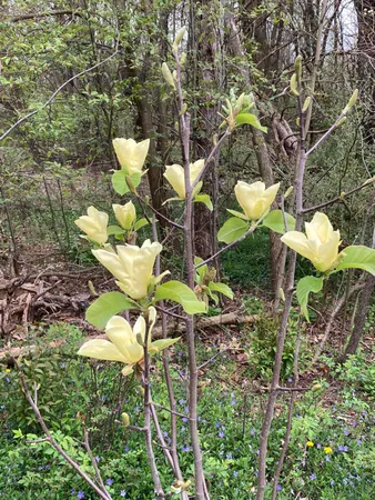 $274,900 | 8949 Stadium Drive, Kalamazoo, MI 49009