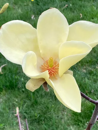 $274,900 | 8949 Stadium Drive, Kalamazoo, MI 49009