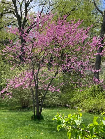 $274,900 | 8949 Stadium Drive, Kalamazoo, MI 49009