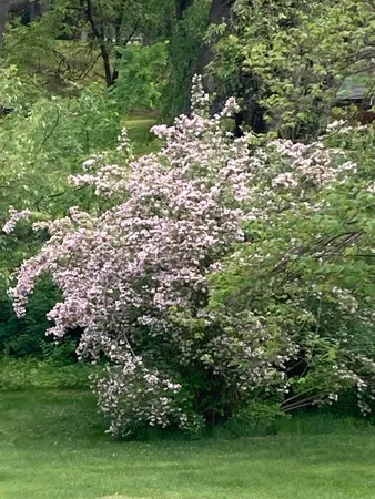 $274,900 | 8949 Stadium Drive, Kalamazoo, MI 49009