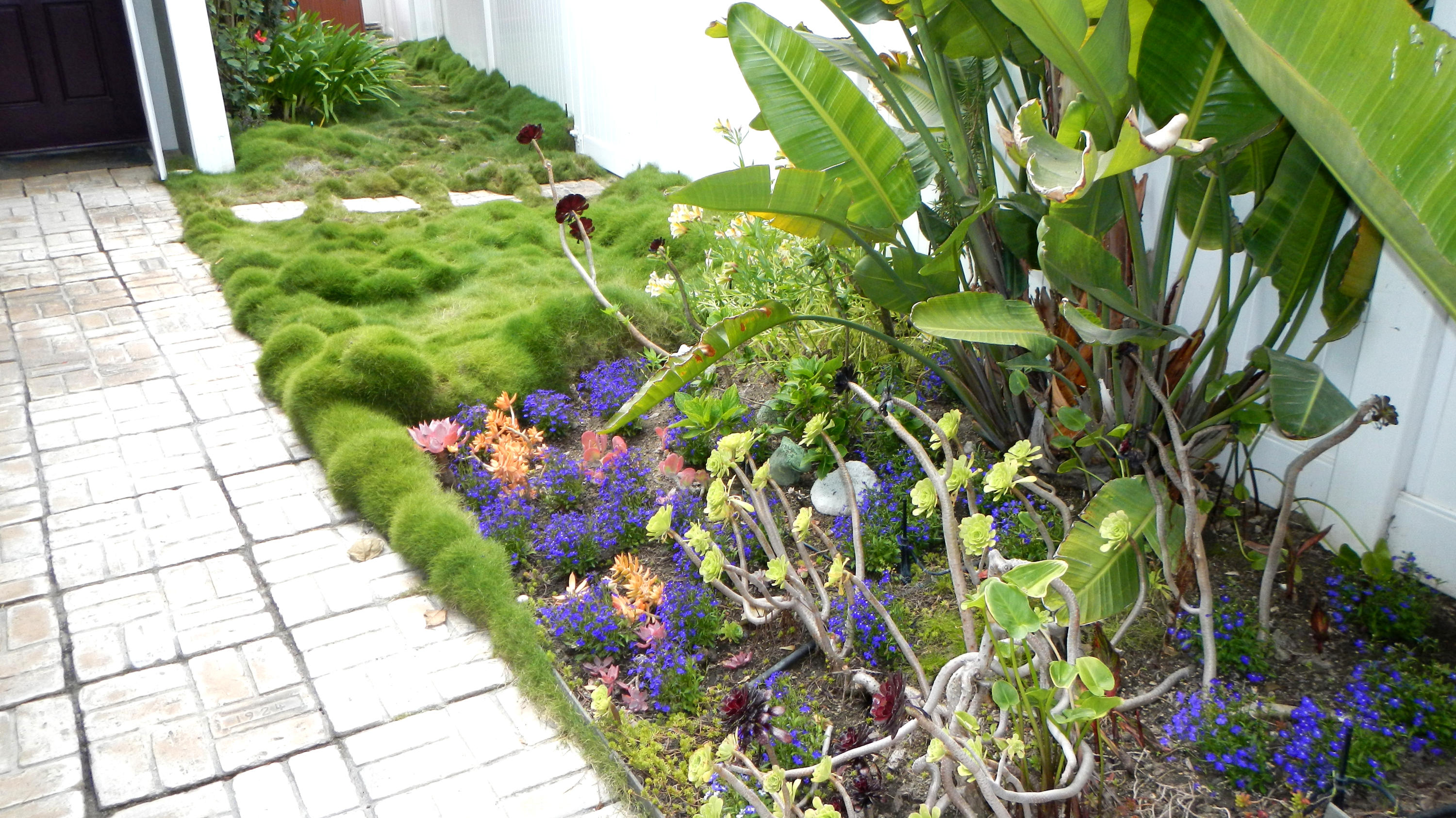 4640 Eastbourne Oxnard, CA 93035 - Photo 7 of 49 a picture of flowers