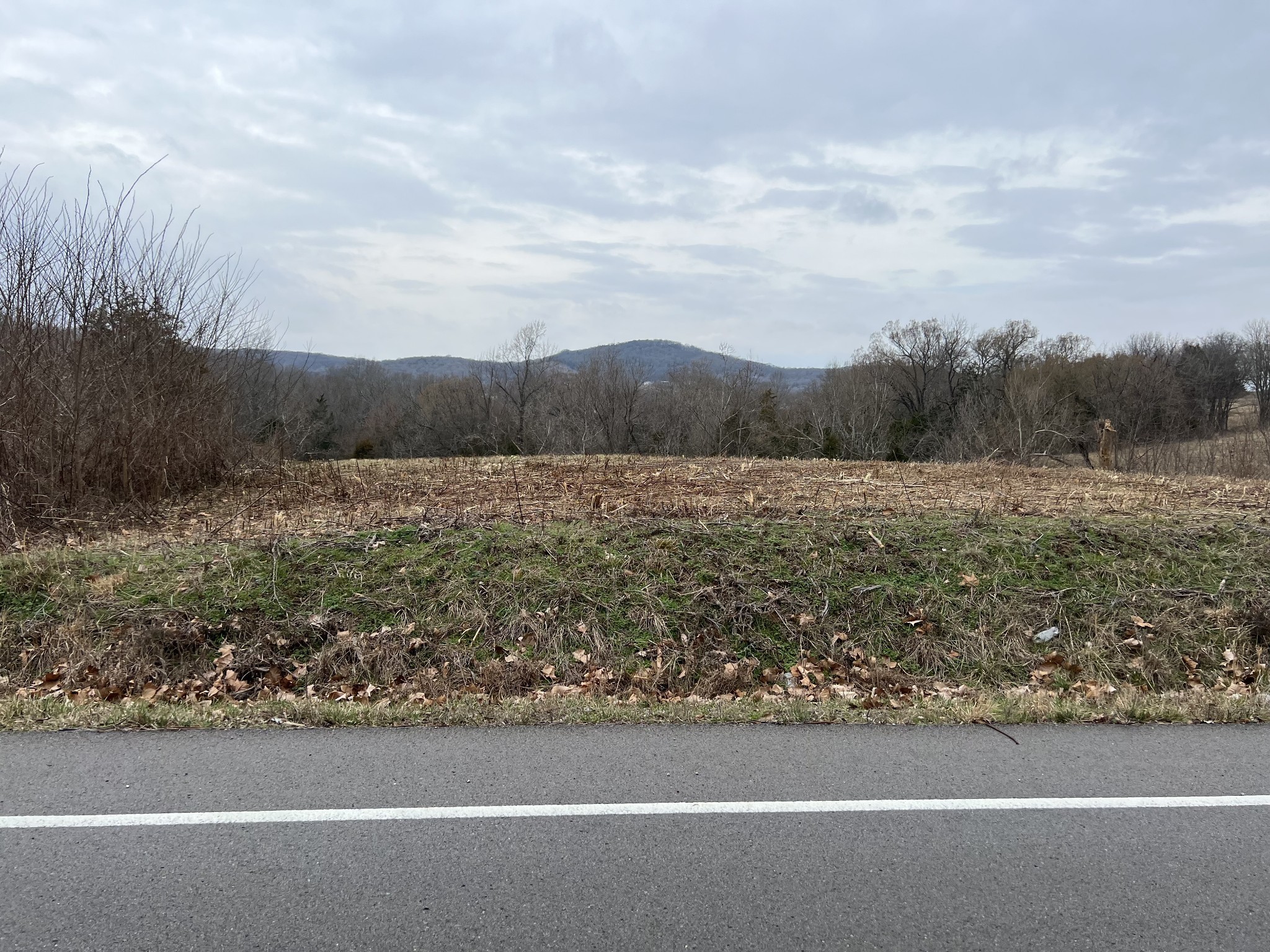 2420 Roberts Road Watertown, TN 37184 - Photo 11 of 15 a view of a field with a bench