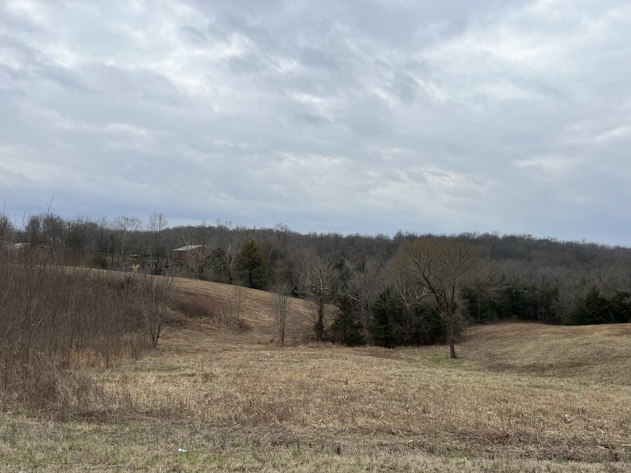 2420 Roberts Road Watertown, TN 37184 - Photo 12 of 15 a view of a dry yard with mountains in the background