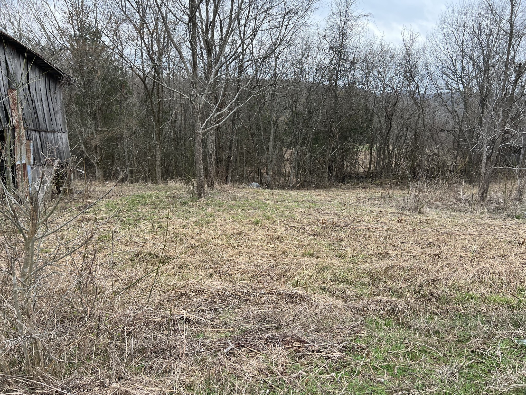 2420 Roberts Road Watertown, TN 37184 - Photo 14 of 15 a view of a yard with trees