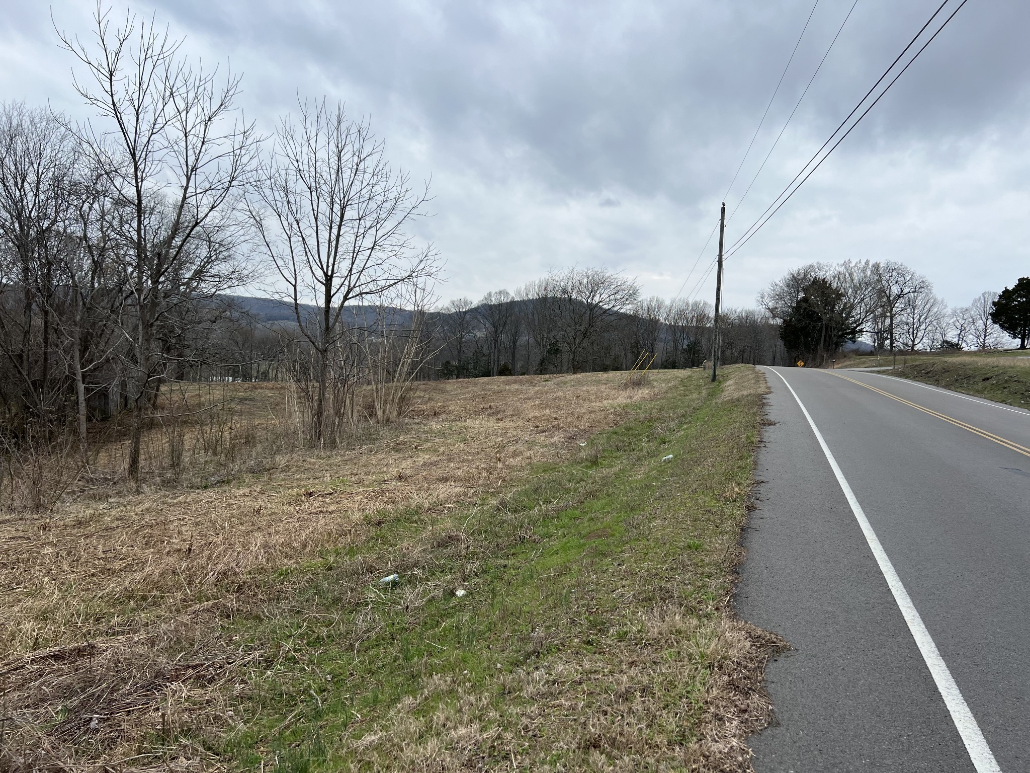 2420 Roberts Road Watertown, TN 37184 - Photo 3 of 15 a view of a yard